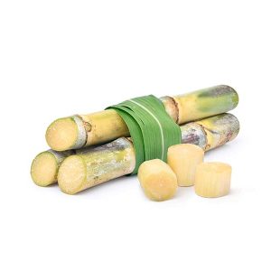 Sugar Cane KG