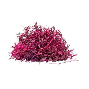 Amaranth Cress Box