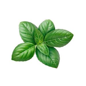 Basil leaves loose 250g