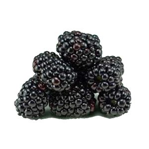 Blackberry Pack-125g