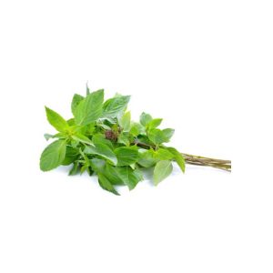 Basil sweet Thai 500g