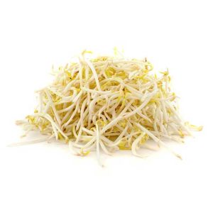 Beans Sprout 500g