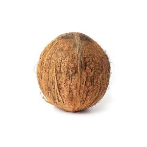 Coconut Brown 1Pc