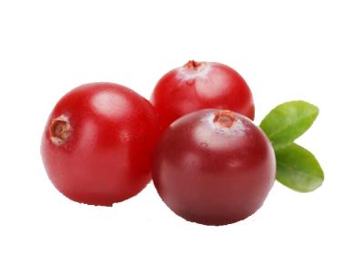 CRANBERRY-gg