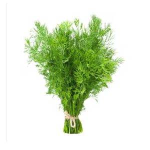 Dill leaves 250g