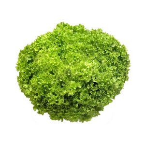 Lettuce Lollo Bianco Local 250-300g/Pc
