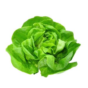 Lettuce Boston 150-200g/Pc
