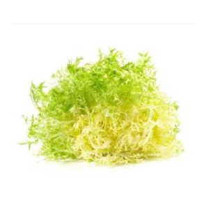 Lettuce Frisee Yellow 500g