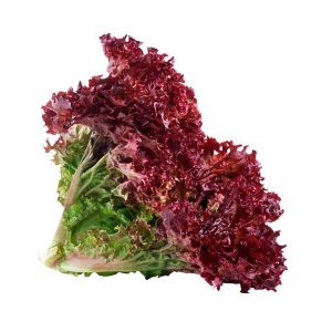 Lettuce Lollo Rosso Local 250-350g/Pc