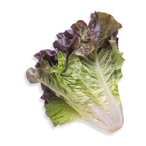 Lettuce Red 200-300g/pc