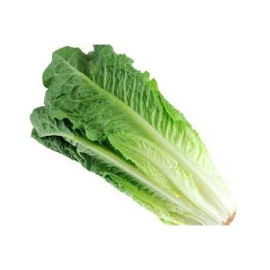 Lettuce Romaine 350-500g