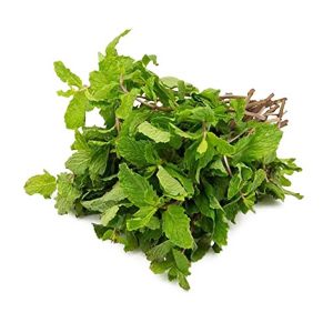 Mint leaves Kenya -Kg