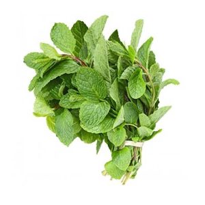 Mint leaves Loose 900-1000g