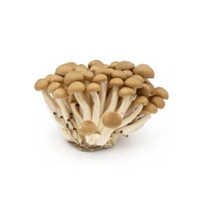 Mushroom Shimeji Brown pack 150g