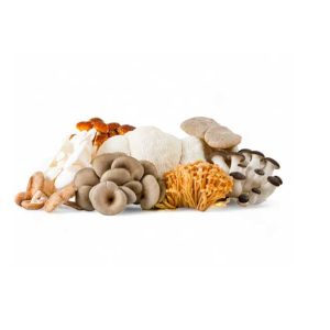 Mushroom Wild Mix-500g