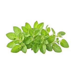 Oregano Leaves-Kg