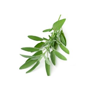 Sage-500g