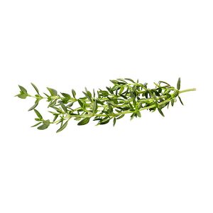 Thyme -Kg