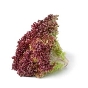 Lettuce Lollo Rosso Holland 250-350g/Pc