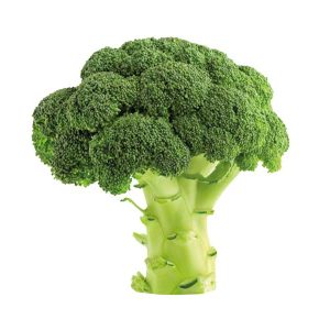 Broccoli 450-500g