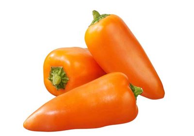 CAPSICUM-ORANGE-BABY-gg