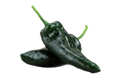 Chilli-Poblano-gg Chilli-Poblano-gg