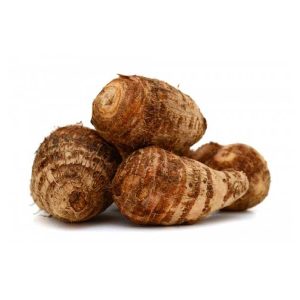 Colocasia