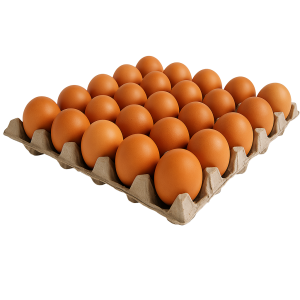 Egg Brown Tray 30 Pcs