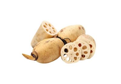 Lotus-Root-gg Lotus-Root-gg