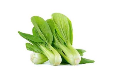 Pakchoy-Baby-Leaves-gg Pakchoy-Baby-Leaves-gg