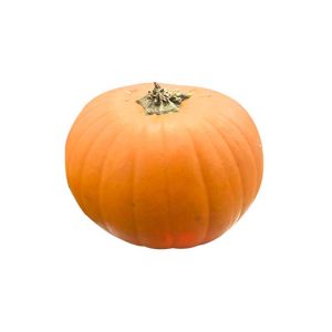 Pumpkin Halloween 2.2-2.5KG