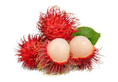 RAMBUTAN-gg RAMBUTAN-gg