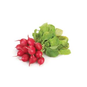 Radish Red Holland Pack-125g