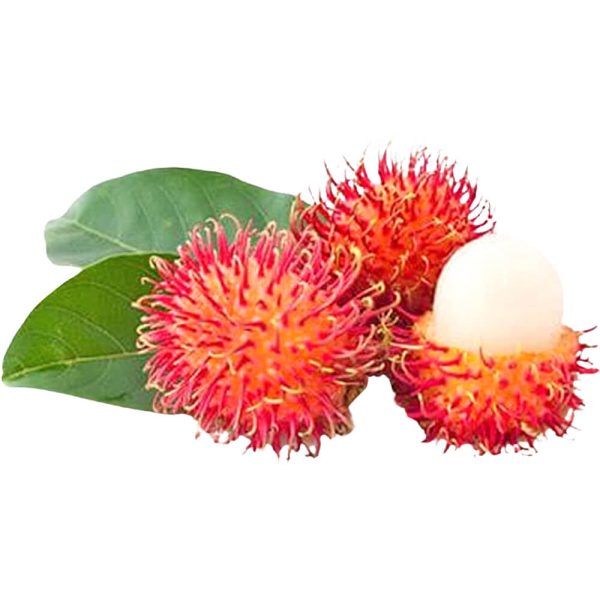 Rambutan – Gulf Garden Foodstuff Trading | Dubai | UAE