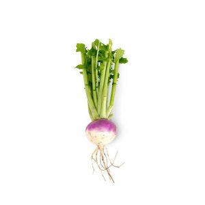 Turnip 1000g