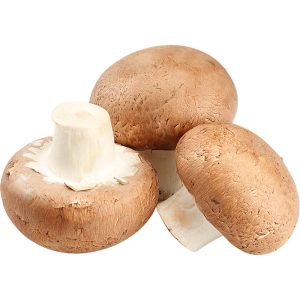 Mushroom Button Brown