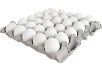 eggs Tray