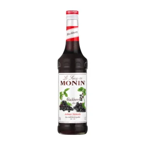 Monin Blackberry Syrup bottle clearly displayed on an isolated white background.